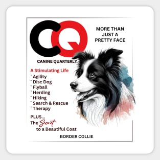 CQ MAGAZINE - Border Collie Sticker